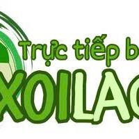 xoilacad xoilacad