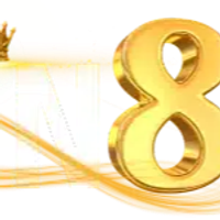 xin88international